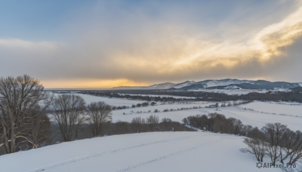 outdoors,sky,day,cloud,tree,blue sky,no humans,watermark,cloudy sky,nature,scenery,snow,forest,mountain,winter,bare tree,landscape,mountainous horizon,grass,sunset,horizon,sunrise