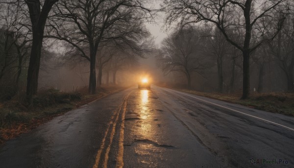 outdoors,sky,cloud,tree,no humans,sunlight,grass,nature,scenery,forest,sunset,light,road,lamppost,bare tree,path,water,cloudy sky,street