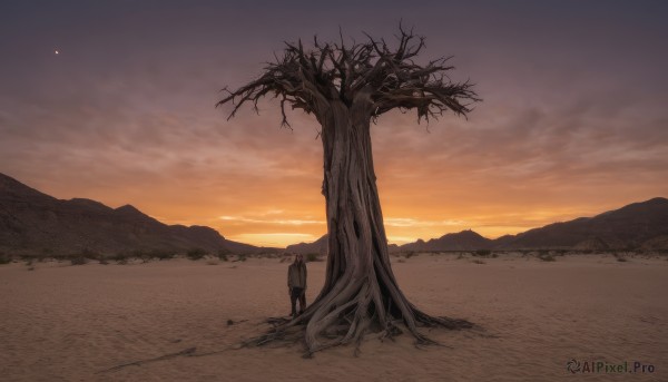 A male set against the backdrop of a serene sunset outdoors