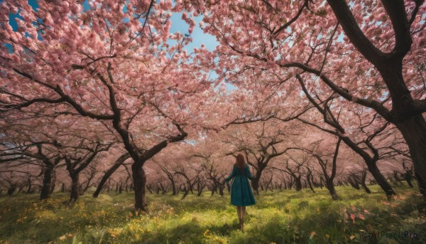 The allure of a female in a majestic day