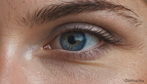 solo,looking at viewer,blue eyes,1boy,eyelashes,no humans,animal,traditional media,cat,close-up,1other,reflection,realistic,animal focus,ambiguous gender,eye focus,male focus,fang,fangs