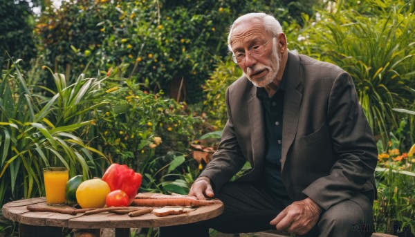 solo,short hair,open mouth,shirt,long sleeves,1boy,sitting,jacket,flower,white hair,male focus,outdoors,food,open clothes,day,collared shirt,pants,open jacket,black jacket,black shirt,fruit,facial hair,black pants,formal,table,suit,plant,nature,beard,mature male,realistic,mustache,apple,manly,old,old man,photo background,garden,wrinkled skin,looking at viewer,smile,holding,closed eyes,grey hair,grass,blue shirt,plate