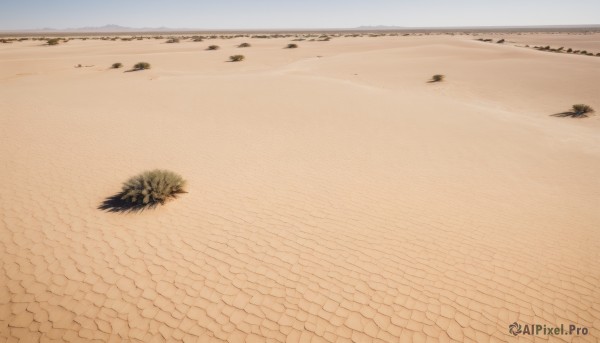 outdoors,sky,day,water,tree,no humans,bird,ocean,beach,scenery,sand,horizon,road,shore,desert,footprints,cloud,blue sky,grass