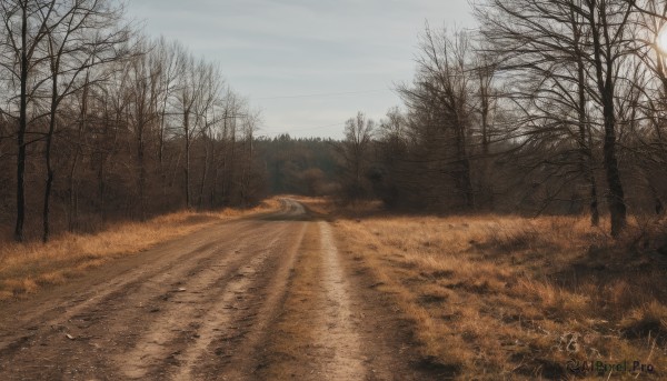 outdoors,sky,day,cloud,tree,no humans,cloudy sky,grass,nature,scenery,forest,realistic,road,field,lamppost,bare tree,landscape,path,ground vehicle,motor vehicle