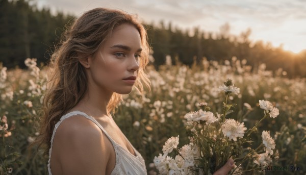 1girl, solo, long hair, blonde hair, brown hair, dress, holding, upper body, flower, outdoors, blurry, from side, lips, blurry background, sunlight, realistic, nose, holding flower, field