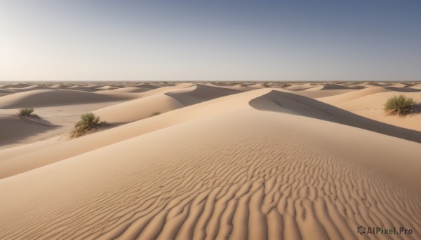 outdoors,sky,day,tree,blue sky,no humans,shadow,beach,scenery,sand,road,desert,plant