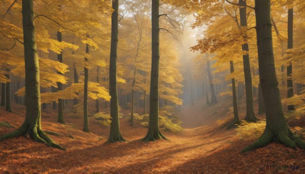 outdoors,day,tree,no humans,leaf,sunlight,nature,scenery,forest,light rays,autumn leaves,sunbeam,autumn,road,orange theme,path