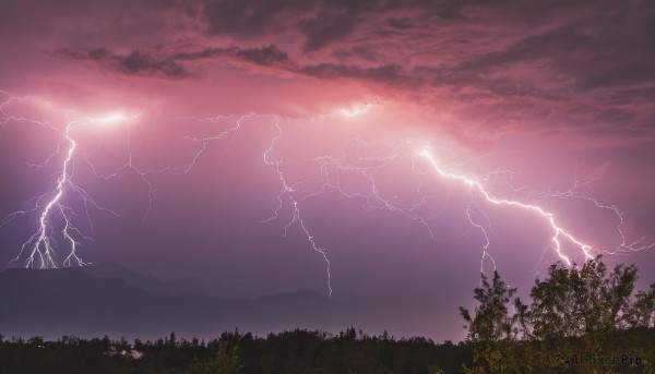 outdoors,sky,cloud,tree,no humans,cloudy sky,grass,nature,scenery,forest,mountain,electricity,lightning,landscape,red sky,monochrome,night,ocean,sunset,horizon