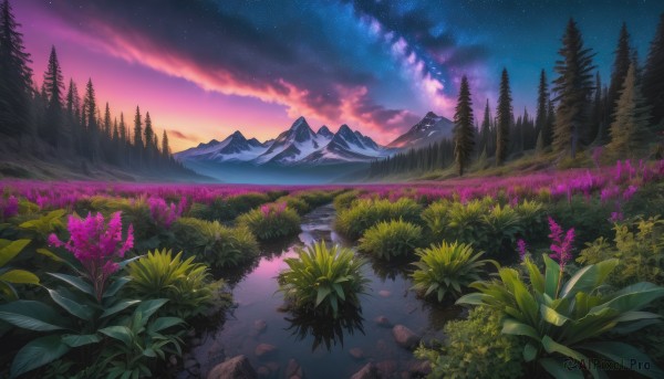 A enchanting outdoors highlighting a landscape