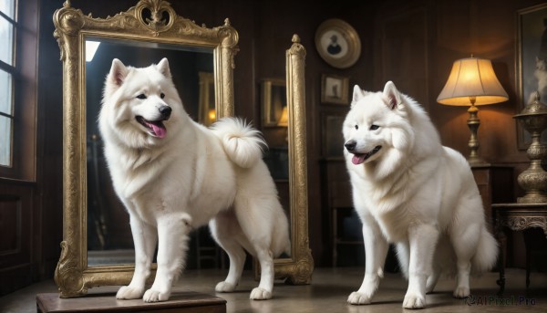 The beauty of a dog set in a captivating window