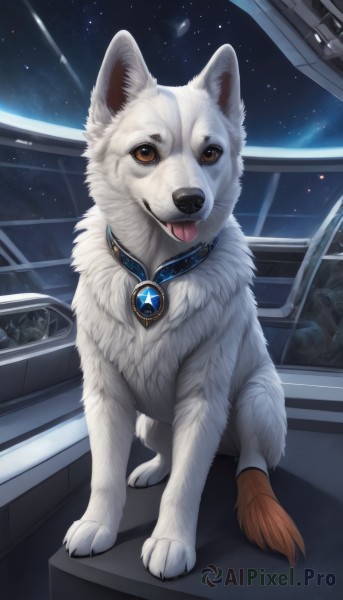 solo,looking at viewer,brown eyes,jewelry,full body,sky,tongue,tongue out,collar,no humans,animal,brooch,gem,star (sky),starry sky,dog,realistic,space,animal focus,planet,spacecraft,sitting,window,fangs,watermark,web address,animal collar,shooting star