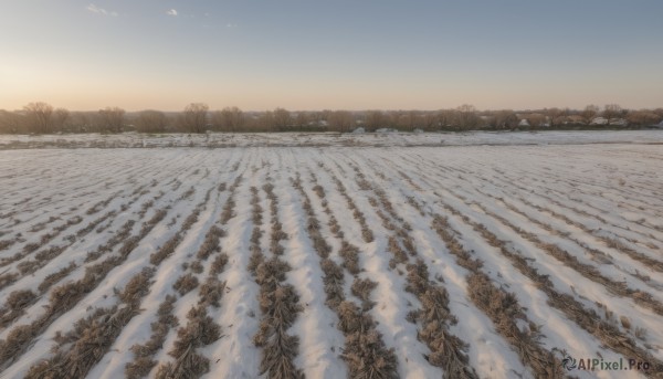 The allure of a landscape in a dynamic snowy day