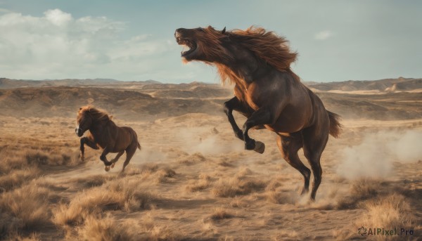 open mouth,outdoors,sky,day,cloud,blue sky,no humans,animal,grass,scenery,running,mountain,riding,horse,desert,horseback riding,signature,realistic,sand,field,landscape,dust