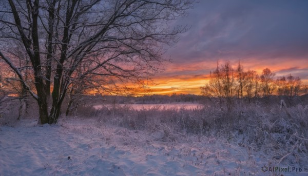 outdoors,sky,cloud,tree,no humans,cloudy sky,grass,nature,scenery,snow,forest,sunset,mountain,winter,bare tree,twilight,evening,landscape,gradient sky,orange sky,blue sky,horizon,field