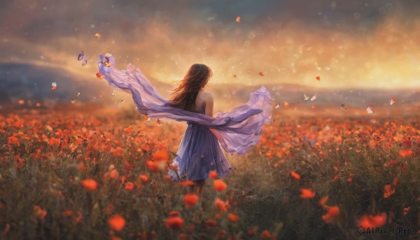 1girl, solo, long hair, brown hair, dress, standing, flower, outdoors, sky, sleeveless, cloud, from behind, blurry, petals, depth of field, bug, red flower, butterfly, scenery, sunset, shawl, field, flower field