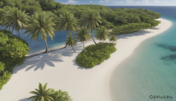 outdoors,sky,day,cloud,water,tree,blue sky,no humans,shadow,ocean,beach,plant,nature,scenery,sand,palm tree,horizon,bush,shade,shore,forest,island