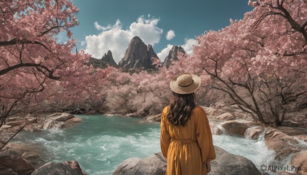 1girl,solo,long hair,brown hair,black hair,long sleeves,hat,dress,standing,outdoors,sky,day,cloud,water,from behind,tree,blue sky,cloudy sky,cherry blossoms,nature,scenery,reflection,rock,mountain,brown headwear,facing away,river,japanese clothes,straw hat