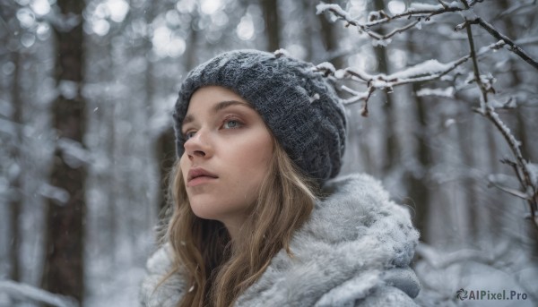 1girl, solo, long hair, looking at viewer, blue eyes, blonde hair, hat, outdoors, parted lips, hood, blurry, tree, lips, coat, fur trim, nature, snow, freckles, snowing, realistic, beanie, winter clothes, winter, bare tree