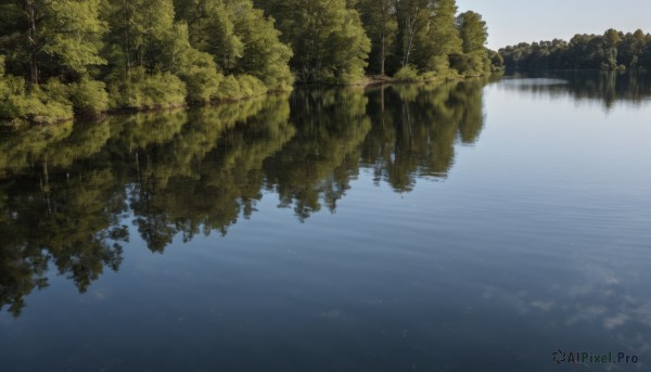 outdoors,sky,day,water,tree,blue sky,no humans,nature,scenery,forest,reflection,river,lake,reflective water,bird,fantasy,landscape