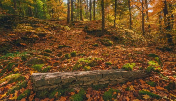 outdoors,day,tree,no humans,leaf,traditional media,sunlight,nature,scenery,forest,road,autumn leaves,autumn,landscape,orange theme,path