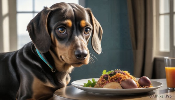 HQ,solo,brown eyes,food,indoors,blurry,collar,cup,no humans,window,blurry background,animal,table,plate,drinking glass,dog,realistic,animal focus,animal collar,food focus,lettuce,looking at viewer,signature,leaf,bowl,drink,animalization,pasta,spaghetti,salad