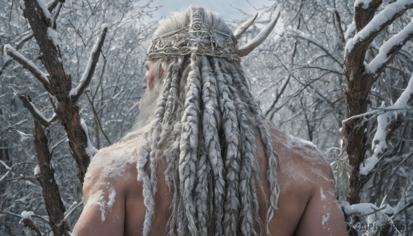 1girl,solo,long hair,1boy,upper body,weapon,braid,white hair,grey hair,male focus,nude,outdoors,horns,sword,from behind,tree,back,helmet,nature,snow,forest,snowing,realistic,branch,facing away,winter,bare tree,sky,crown,beard,antlers