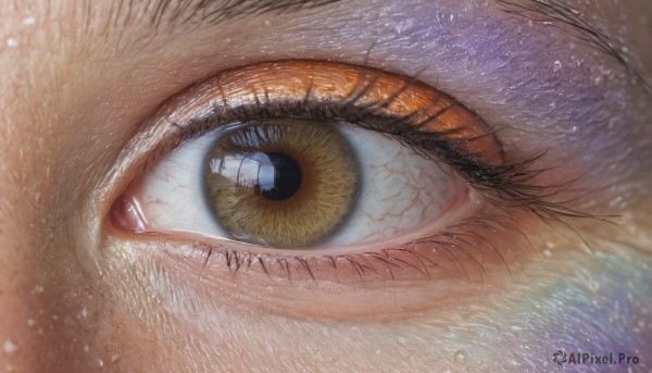 1girl,solo,looking at viewer,1boy,brown eyes,yellow eyes,eyelashes,slit pupils,light particles,close-up,1other,reflection,realistic,eye focus,male focus