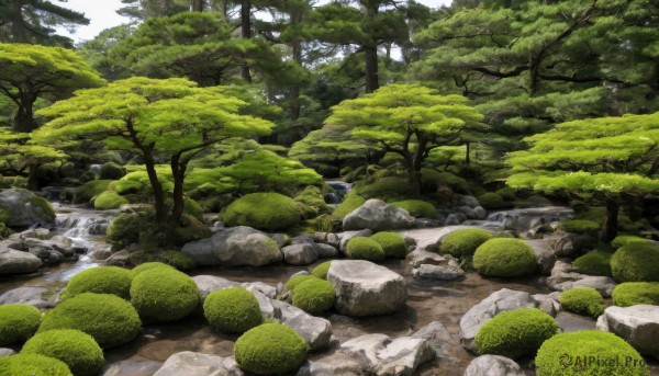 outdoors,day,water,tree,no humans,grass,nature,scenery,forest,rock,river,moss,sky,bush,landscape,pond,stream