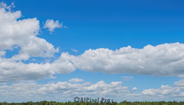 outdoors,sky,day,cloud,tree,blue sky,no humans,cloudy sky,nature,scenery,forest,grass