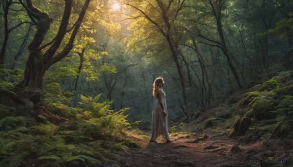 1girl, solo, long hair, brown hair, dress, standing, outdoors, barefoot, tree, sunlight, nature, scenery, forest