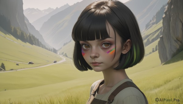 1girl,solo,looking at viewer,short hair,bangs,brown hair,shirt,black hair,brown eyes,closed mouth,white shirt,upper body,multicolored hair,outdoors,green hair,day,blunt bangs,lips,streaked hair,makeup,facial mark,bob cut,suspenders,grass,mountain,nose,overalls,facepaint,field,mountainous horizon,jewelry,earrings,portrait,scenery,landscape,mascara,hill