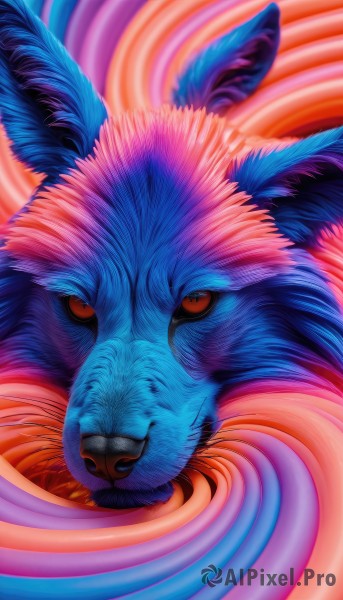 A unique view of a unique subject in dynamic scene