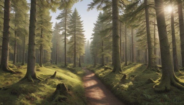 A serene day featuring a landscape