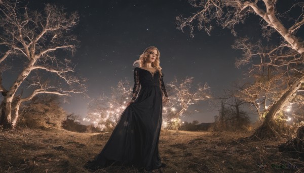 1girl,solo,long hair,breasts,looking at viewer,blonde hair,red eyes,long sleeves,dress,jewelry,standing,full body,earrings,outdoors,sky,black dress,tree,night,grass,star (sky),night sky,scenery,starry sky,long dress,bare tree,closed mouth,flower,nature,skirt hold,dark