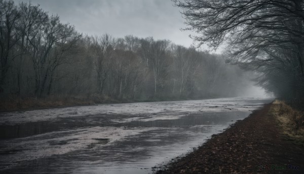 A landscape caught in a peaceful snowy day
