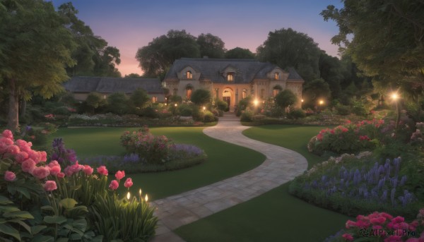A unique view of a garden in sunset outdoors