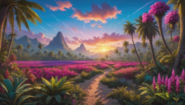 A calm sunset outdoors highlighting a unique subject
