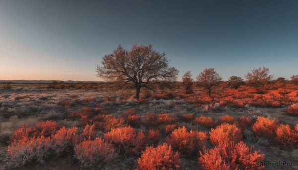A landscape set against the backdrop of a breathtaking sunset day