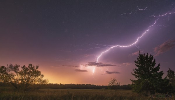 outdoors,sky,cloud,tree,no humans,night,cloudy sky,grass,star (sky),nature,night sky,scenery,forest,starry sky,sunset,electricity,lightning,gradient sky,horizon,landscape