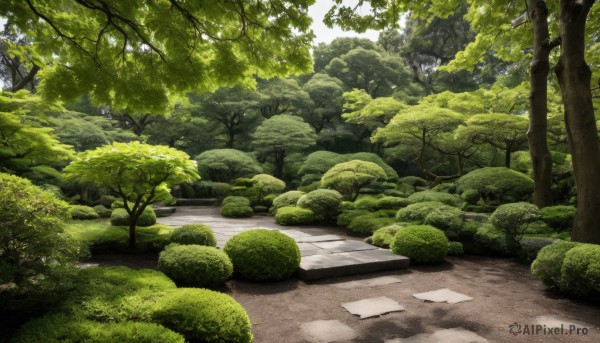 outdoors,day,tree,no humans,sunlight,grass,plant,nature,scenery,forest,rock,road,bush,path,green theme