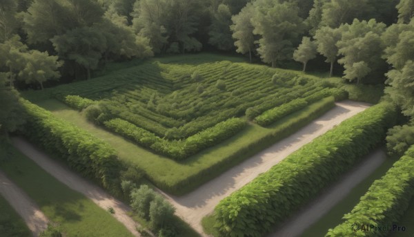 A idyllic unique subject within a lush day