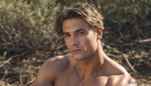 Day brought to life with a dynamic male