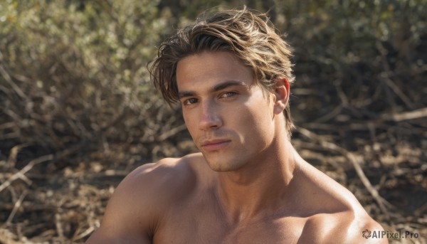 solo,looking at viewer,short hair,blue eyes,blonde hair,brown hair,1boy,closed mouth,collarbone,upper body,male focus,nude,outdoors,blurry,blurry background,facial hair,portrait,topless male,realistic,stubble,photo background,day,lips,muscular,depth of field,sunlight,muscular male