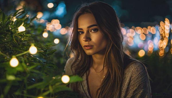 1girl,solo,long hair,looking at viewer,blue eyes,brown hair,black hair,jewelry,closed mouth,upper body,dark skin,necklace,blurry,black eyes,dark-skinned female,lips,depth of field,blurry background,plant,realistic,nose,bokeh,brown eyes,outdoors,parted lips,night,leaf,thick eyebrows,nature,forehead