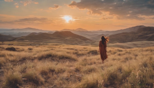 A female surrounded by a lush sunset outdoors