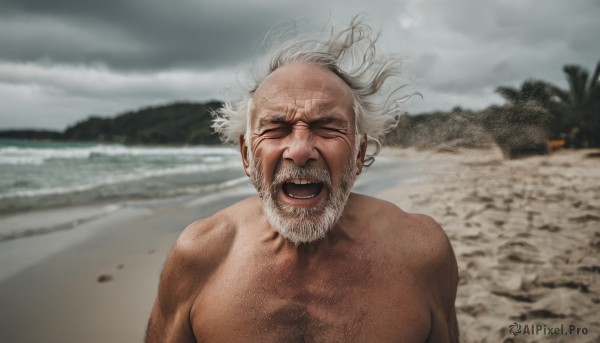 solo,open mouth,1boy,closed eyes,upper body,white hair,grey hair,male focus,outdoors,sky,teeth,day,cloud,blurry,tree,blurry background,facial hair,ocean,beach,parody,cloudy sky,facing viewer,beard,topless male,realistic,mustache,sand,palm tree,old,old man,wrinkled skin,smile,:d,nude,water,floating hair,happy,wind,messy hair,meme,horizon,laughing,chest hair,waves,photo background,grey sky