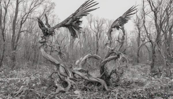 monochrome,greyscale,outdoors,wings,tree,no humans,bird,traditional media,grass,plant,nature,scenery,forest,bare tree,1girl,solo,graphite (medium),vines,nib pen (medium)