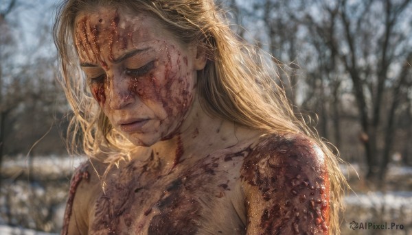 1girl,solo,long hair,blonde hair,closed mouth,closed eyes,upper body,nude,outdoors,blurry,tree,lips,blood,depth of field,blurry background,scar,portrait,snow,injury,blood on face,snowing,realistic,breasts,collarbone,day,looking down,messy hair,dirty,bare tree,dirty face