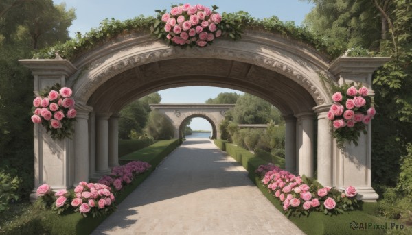 A garden showcased in a bold day