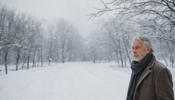 solo,1boy,jacket,upper body,white hair,grey hair,male focus,outdoors,scarf,tree,coat,facial hair,nature,scenery,beard,snow,forest,snowing,realistic,mustache,winter clothes,black scarf,old,winter,blue scarf,brown coat,old man,bare tree,short hair,day,blurry,brown jacket,grey sky